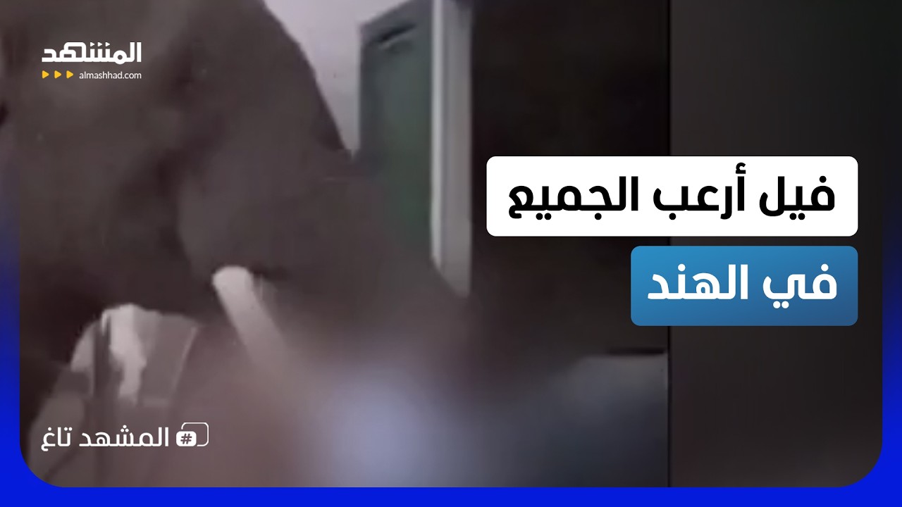 مشهد مرعب.. فيل هائج في الهند كان حوّل احتفالية إلى كارثة - المشهد تاغ