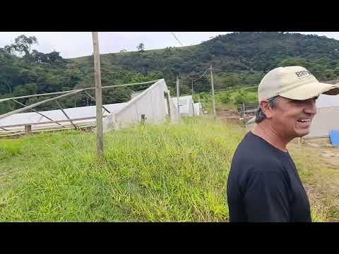 Sul de Minas não é só café e queijo 🧀🫕! Também tem muito peixe 🐟! Poço Fundo MG! Aqua Minas !