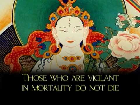 Discovering Buddhism Module 8 - Establishing a daily Practice