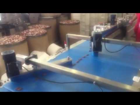 Rapidpack (ruipuhua) Chocolate packing line in Russia