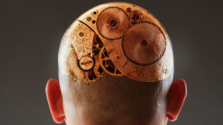 How Human Consciousness Evolved | Daniel Dennett