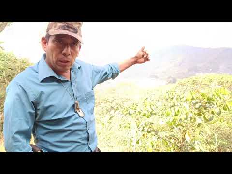 fuertes combates en conchagua la union y como camillero me toco a tender a mis camaradas 
