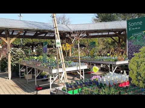die flora GmbH & Co. KG YouTube-Vdeominiatur 1
