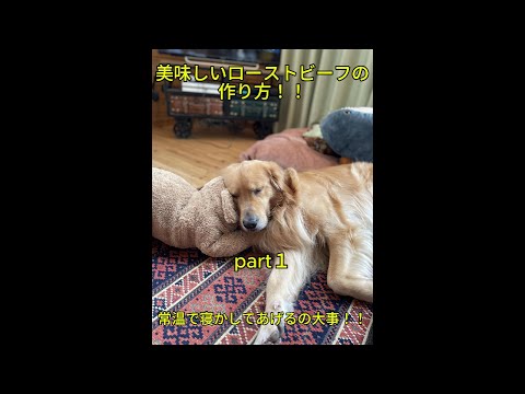 ゴールデンレトリバーに関するよくある質問