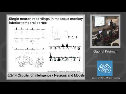 6/2/14 Circuits for Intelligence - Gabriel Kreiman: Neurons and Models
