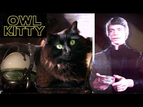 My cat as Jabba the Hutt