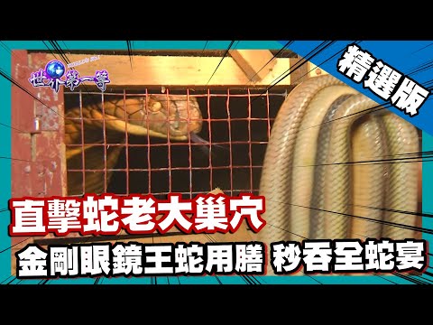 蛇 養殖