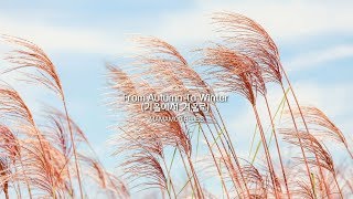 MAMAMOO (마마무) – FROM AUTUMN TO WINTER (가을에서 겨울로) *INTRO* - Piano Cover