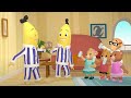 Banana Day Bananas In Pyjamas Season 1 Full Episodes Bananas In Pyjamas