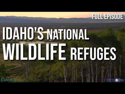 SEEKING REFUGE | Outdoor Idaho