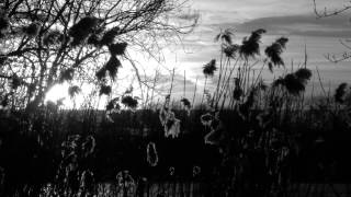 Smoke Fairies - So Much Wine