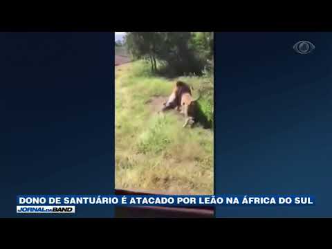 Sanctuary owner attacked by lion in South Africa