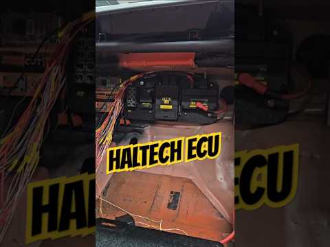 Haltech ECU Update