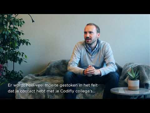 Working at Codifly - HR picture 