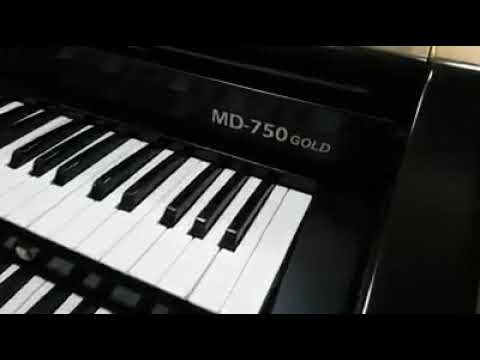 Tokai MD 750 GOLD Lançamento