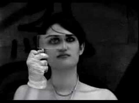 download lagu mp3 mp4 Blue Flowers Music, download mp3 Blue Flowers Music free downloadn, video klip Blue Flowers Music