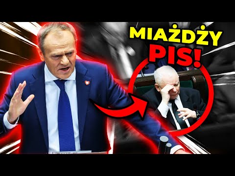 Tusk nie miał litości. Sala ryknęła śmiechem