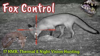 Fox Control Pest Shooting || 17HMR Hunting