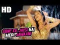 Sone Ke Jaisi Hai Meri Jawaani Asha Bhosle Maa Tujhhe Salaam 2002 Songs Malaika Arora