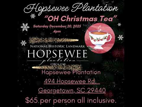 Play Video Youtube Video