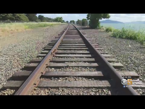 East Bay Leaders Consider Opposing Plan To Reactivate Long-Dormant Rail Line In Richmond
