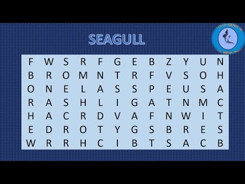 Jacket With Bird Hues Crossword