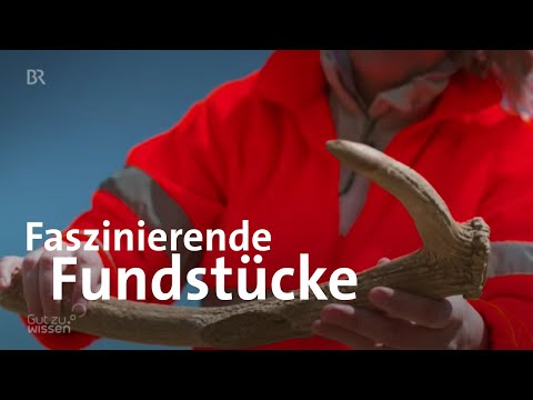 Archäologie: Geheimnisvolle Funde beim Donauausbau | Gut zu wissen | BR