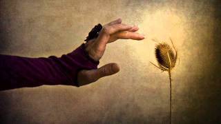 Triumvirat  - For you