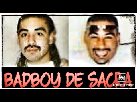 BADBOY DE SACRA FRANKLON