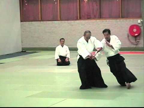 guiding - Shimamoto Shihan Aikido