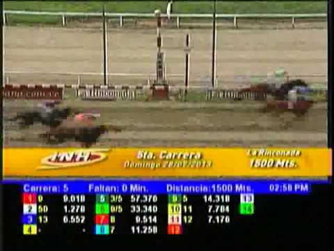 Resumen Domingo, 28 de Julio de 2013 - La Rinconada