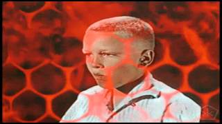 STAN - Nesbitt&#39;s Lime Soda