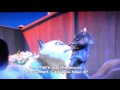 Over The Hedge THX