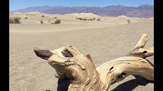 In Death There Is Life - A Film by Carla