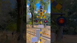 【SoundOn🔊】これ本物？公園の踏切🚧ひびくんのお気に入り/Is this real? 🚧A park railway crossing—Hibi’s favorite 🤍