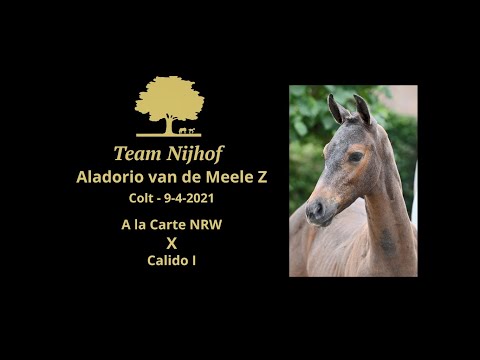 Aladorio van de Meele Z
