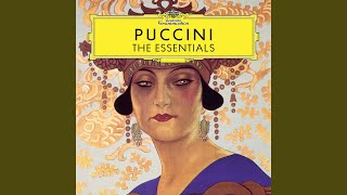 Manon Lescaut / Act 2 : Puccini: Manon Lescaut / Act 2 - Tu, tu, amore? tu? Lyrics English Translation