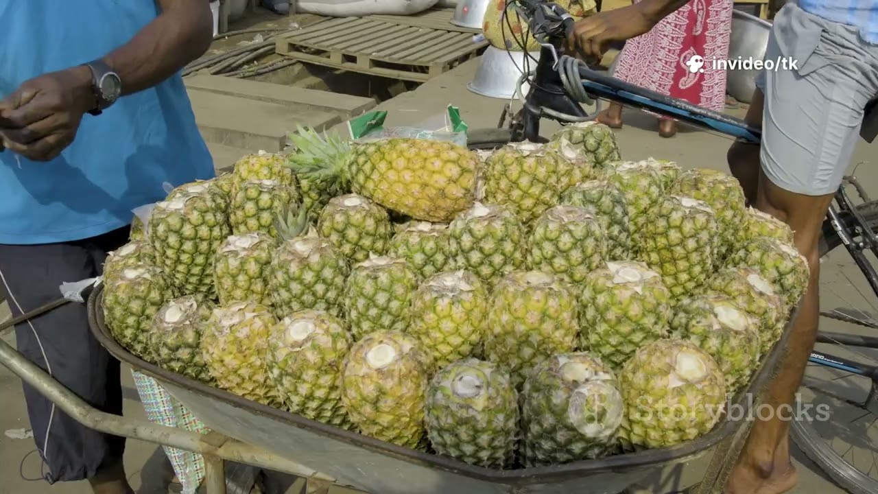 10 Things You NEED to Know Before Visiting Antigua!