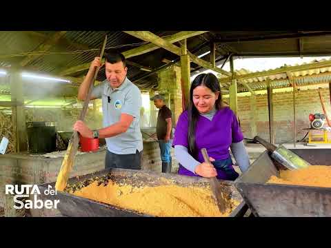 RUTA DEL SABER I. E. JOSÉ ACEVEDO Y GOMEZ -  PROYECTO PRODUCTIVO DE PANELA