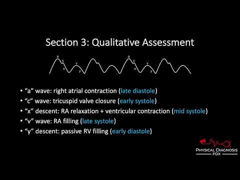 Jugular Venous Pulse: Normal Waveform