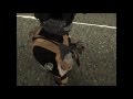 AK47 ModernWarfare para GTA San Andreas vídeo 1