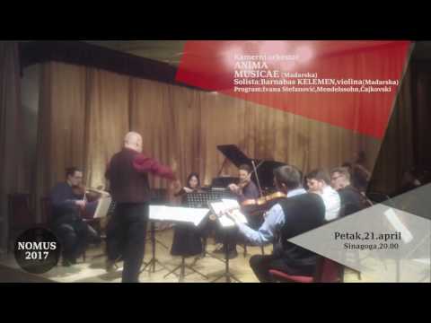 NOMUS 2017 - Anima Musicae Chamber Orchestra