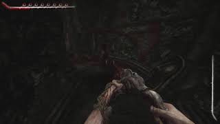SCORN#2