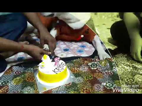 Happy birthday krishi 1 YEARS 🎂🎂🎂😍😍😍