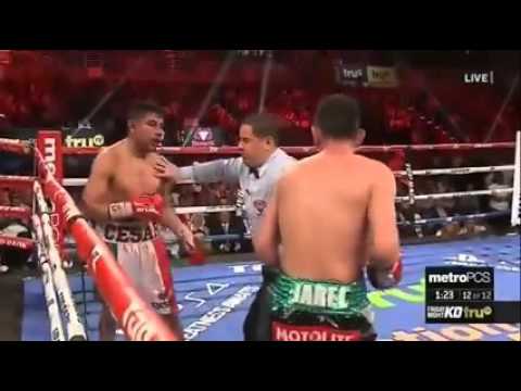 Donaire Vs Juarez Boxing  Highlights