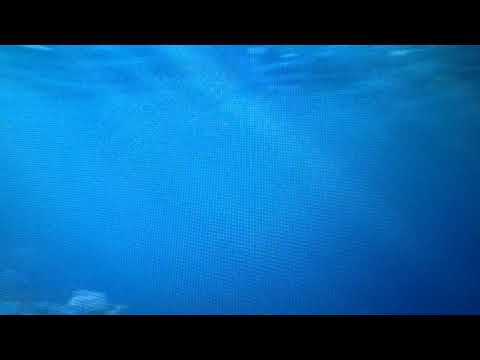 Finding Audrey part 1 - new parents