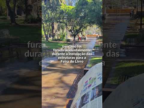 💧 INCIDENTE NA PRAÇA CEL PEDRO OSÓRIO ACABA DE FORMA INUSITADA 💧 #pelotas #centrohistorico #acidente