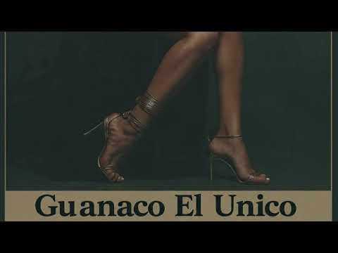 Guanaco El Unico - BEBE (Single Cover)