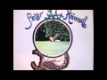 What's it Worth (Peter Hammill)