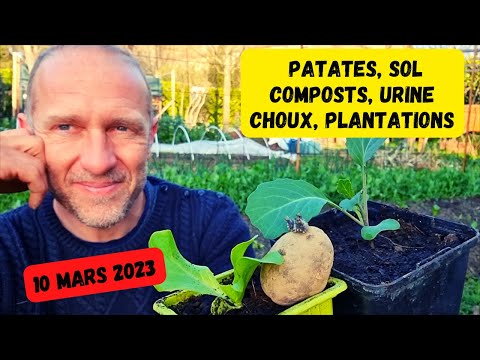 Au potager, mi-mars 2023